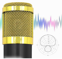 YEAH support de bras réglable USB carte son Studio Microphone à condensateur ensemble pour ordinateur portable Vlog enregistrement karaoké