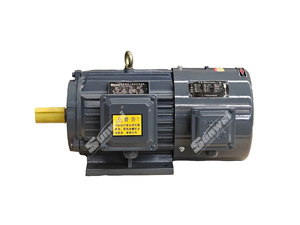 Hochwertiger Sunwei YVP YVF2-132S-2/4P--7,5KW Dreiphasiger Asynchroner Frequenzumrichter mit Variabler Geschwindigkeitsregelung 380V 50/60Hz - Product Image 3