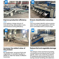 Hoogwaardige automatische fruit- en groentesorteermachine voor aardappelen, knoflook en uien, 304 roestvrij staal, fruitverwerkingsinstallatie