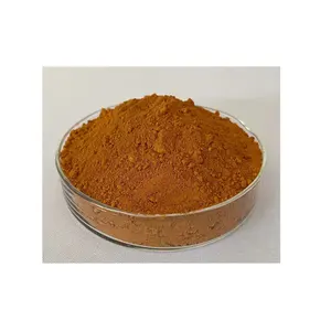 Hot Selling Cheap Custom Dye Iron Oxide Pigments Orange Pigmentation Toner