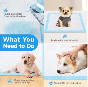HengJia Manufacturer Sample Free Disposable Dog <b>Pee</b> Pads Pet Puppy Training <b>Pee</b> Pad for Dogs Cats - Product Image 5