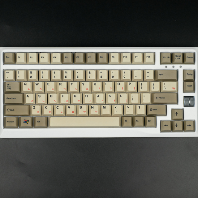 Aflion Professional 82 61 Key LED Backlit Mechanical Gaming Keyboard USB Wired 60 Percent Mechanical Keyboard