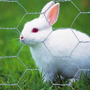 Maille hexagonale galvanisée pour poulailler, grillage tissé soudé, maille à mailles losangées, découpe et tissage inclus, pour poulailler et piège à poissons, sur mesure - Product Image 6