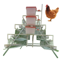 Soluciones para Jaulas de Pollos en Estado Nuevo para la Producción de Carne y la Optimización de Granjas