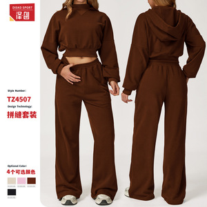 Ensemble de sweat-shirts pour femmes Disko Sport, en polaire, couleur unie, manches longues, vêtements décontractés pour l'extérieur, automne-hiver, coupe ample, vêtements de sport TZ4507 - Product Image 4