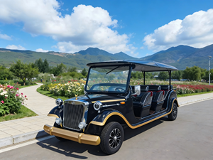 Voiture Classique Vintage Certifiée 5-11 Places, Robuste, Haute et Basse Vitesse, Faible Consommation, Longue Autonomie, Vente Directe Usine - Product Image 1