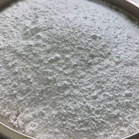 Chaux Calcaire en Poudre de Qualité Supérieure HONGYU de Grade Industriel Pureté 90%-99,5% 325 Mesh pour le Traitement des Eaux Usées Sacs de 25kg