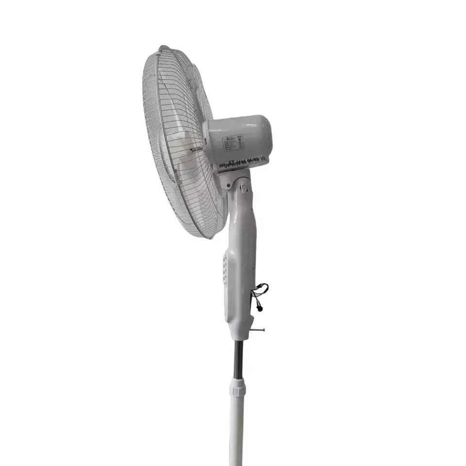 A new Summer Hot-Selling Floor Fan with Energy-Saving Brushless Motor Mechanical Control
