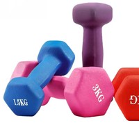 Haltères de gommage familial pour équipement de fitness pour femmes