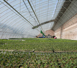 Broeikas Voor Plantaardige Productie Polyethyleen Kas 200 Micron Kas - Product Image 6