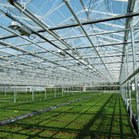Serre en verre hydroponique intelligente entièrement automatique pour la culture des légumes