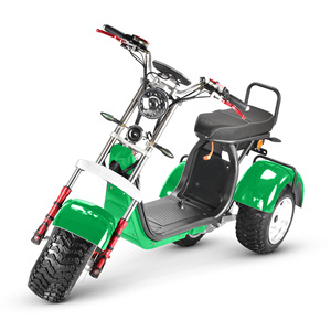 Triciclos Eléctricos de 3 Ruedas con Motores Dobles de 2000w y 4000w y Controles Dobles - Product Image 3