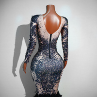 Robe de Soirée Sirène Longue de Qualité Supérieure pour Drag Queen, Sexy, Noire, Transparente, en Maille, avec Strass AB et Plumes, Manches Longues, Dos Nu, Longueur Ras du Sol