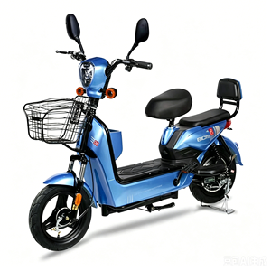 Mass Production Cheap Price Shockproof Comfort Backrest High Bright LED Headlight Anti Rust Metal Basket City Use E-Bike LY-S25 - Product Image 4
