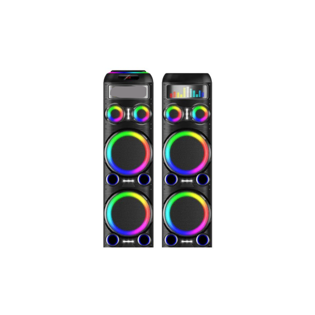 2023 New Wooden Box Dual 10 Inch High Power 100W Bluetooth Speaker Dual Mic Indoor and Outdoor KTV Speaker with Light