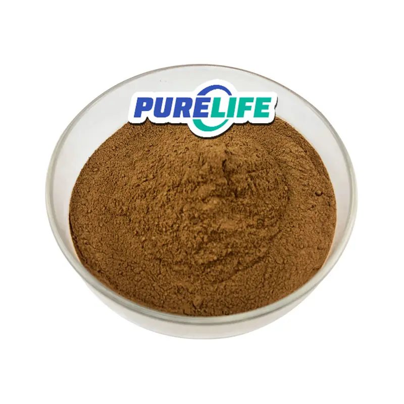 Best Price Natural Food Grade Vanilla Bean Extract Powder