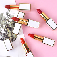 Lápiz labial de larga duración resistente al agua, bálsamo labial, crayón labial mágico mate de terciopelo rojo personalizado de alta calidad