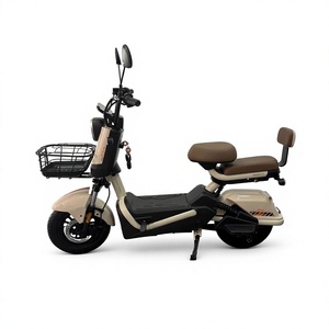Bicicleta Eléctrica GS2 con Batería de Plomo-Ácido de 36V, Frenos de Disco Mecánicos y Pantalla Digital - Product Image 1