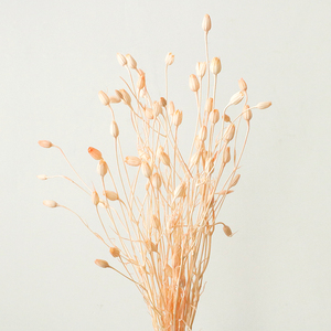 Carillon à vent naturel en forme de fleur et de fruit, artisanat, assorti d'un arrangement floral en bouteille flottante en herbe - Product Image 6