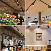 Projecteur à rail magnétique moderne noir 30W 2400K Spot LED à angle réglable en aluminium pour supermarché