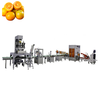 Équipement de fabrication de jus économique pour les petites et moyennes usines de transformation de jus