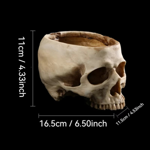 Nhựa <span class=keywords><strong>Skull</strong></span> Cá Tính Chậu Hoa Skb10 Nhựa <span class=keywords><strong>Skull</strong></span> Trang Trí Cho Gạt Tàn Vui Lọ Hoa Cho Halloween Trang Trí Nội Thất - Product Image 2