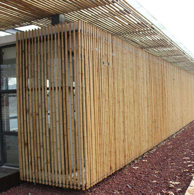 สีธรรมชาติ