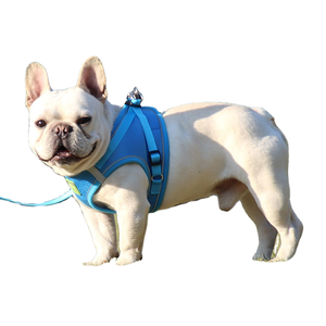 Harnais et laisse pour chien F11, pour la marche, les voyages, les aventures, anti-évasion, sportif, mignon, pour chaton, pour chien de grande et petite taille - Product Image 1