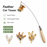 Jouet interactif pour animaux de compagnie avec ressort en fil d'acier et tête remplaçable pour l'entraînement à la mobilité, jouet pour chat, jouets pour chats