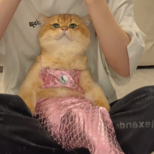 زي حورية البحر المضحك للقطط والكلاب مايوه بنمط صلب مع شريط ذيل السمكة لزينة زينة - Product Image 1