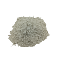 Poudre de Kyanite de Haute Pureté, Sable de Kyanite, Poudre de Cyanite Al2O3 57% pour Céramique Réfractaire et Poterie