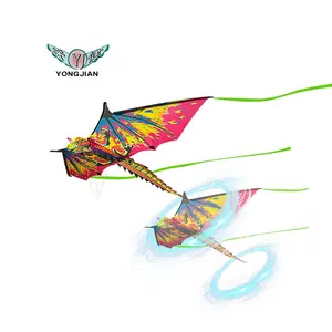 BSCI certified factory can pass CE certification 3d dragon kite