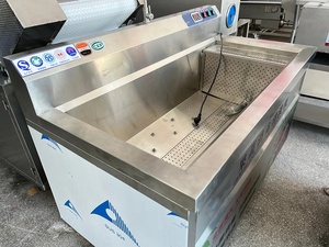 Máquina de Lavado de Frutas y Verduras por Pulverización Ultrasónica de Acero Inoxidable, Accionada por Motor, 220/380V - Product Image 3