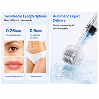 Rouleau de micro-aiguilles professionnel 0,25 mm pour l'entretien des lèvres et de la peau, avec logo personnalisé, pour usage externe en salon de beauté