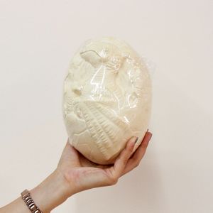 Kit di Scavo Giocattolo con Scheletro di Dinosauro Fossile da 18cm in Grande Uovo di Dinosauro, 12 Tipi, per Scoperte e Scavo - <span class=keywords><strong>IT</strong></span> Pezzi - Product Image 5