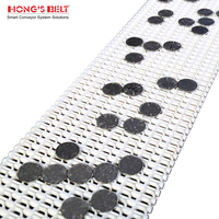 Bande transporteuse en plastique de convoyeur à bande de petit pas de Hongsbelt HS-400B pour le détecteur de métaux