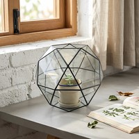 Vas Tanaman Sukulen Mini Terarium Kaca Geometris Wadah Lanskap Mikro Grosir Pesanan Campuran Dekorasi Meja Rumah