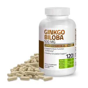 Ginkgo Biloba kapsülleri 500 mg ekstra güç porsiyon başına 500 mg erkekler ve kadınlar için beyin fonksiyonu ve hafıza desteği destekler