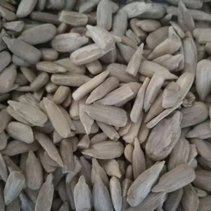 <span class=keywords><strong>Semillas</strong></span> <span class=keywords><strong>de</strong></span> <span class=keywords><strong>girasol</strong></span>, - Product Image 6