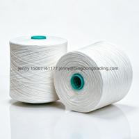 Fil de polyester vierge 100% certifié OEKO-TEX Bingdong, haute ténacité, écologique, pour la couture, nombre de fils personnalisable