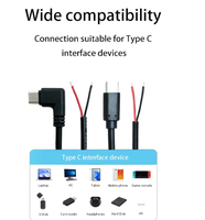 Câble USB Type C mâle vers connecteur 2 broches 20AWG 5V 5A, pour applications créatives DIY et autres connexions d'interface Type C