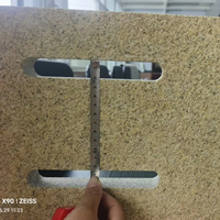 Granite Jaune Doré avec des Taches Noires pour l'Extérieur des Villas et Hôtels Haut de Gamme