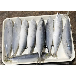 الأسماك في الشرق الأوسط-شعبية في سوق الشرق الأوسط-توريد بالجملة بسعر تنافسي - Product Image 1