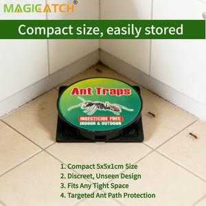 Trampas de pegamento para hormigas Magicatch, suministro directo del fabricante, no tóxicas, seguras, sin pesticidas, para el hogar, la cocina y la despensa. - Product Image 4