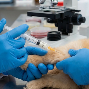 กระบอกฉีดยาสัตวแพทย์แบบใช้แล้วทิ้ง ขนาด 3 ซีซี ปลอดภัย - Product Image 6