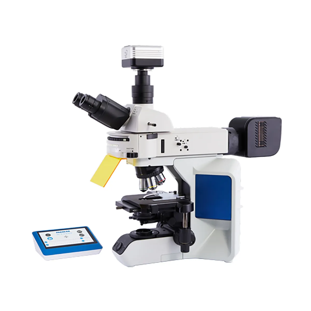 High-End araştırma seviye dik floresan mikroskop MSLED1248