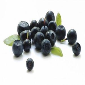 고순도 수용성 아사이 베리 과일 분말 동결 건조 과일 분말 유기농 아사이 베리 분말 - Product Image 3