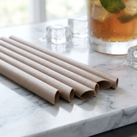 Paille à boire biodégradable écologique jetable de marc de café pour la boisson