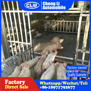 <span class=keywords><strong>Precio</strong></span> <span class=keywords><strong>de</strong></span> fábrica Live Baby Pig Animal Chick Transport Van Truck para la venta - Product Image 3