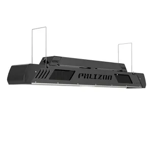 Phizon Fabriek Directe Levering 640W Hps Groeien Licht Digitale Dimbare Elektronische Ballast Voor Kweeklicht Lineair